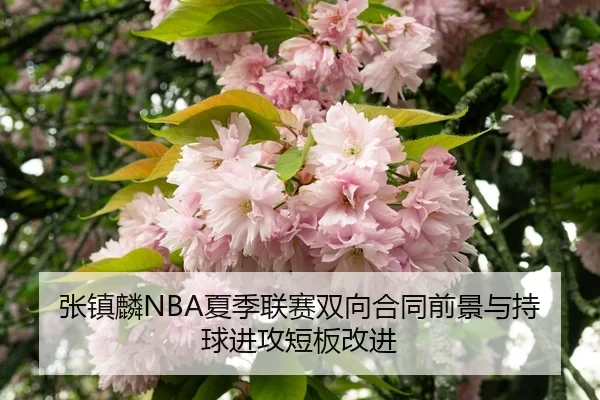 zhang-zhen-lin-xia-ji-lian-sai-shuang-xiang-he-tong-qian-jing-yu-chi-qiu-jin-gong-duan-ban-gai-jin-3-229.jpg