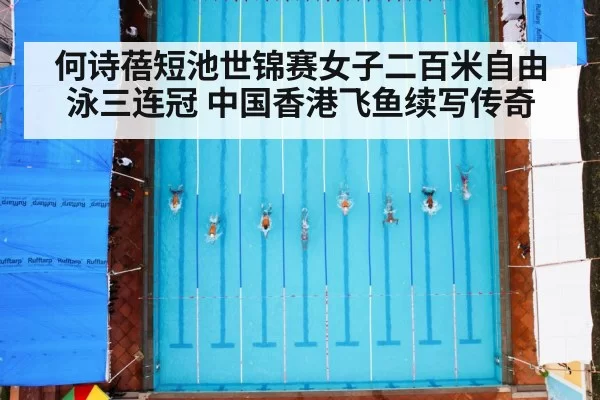 何诗蓓短池世锦赛女子二百米自由泳三连冠 中国香港飞鱼续写传奇